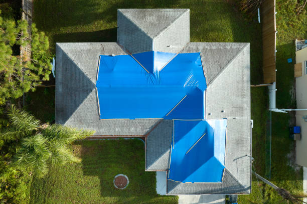 Best Metal Roofing Installation  in Bertsch Oceanview, CA