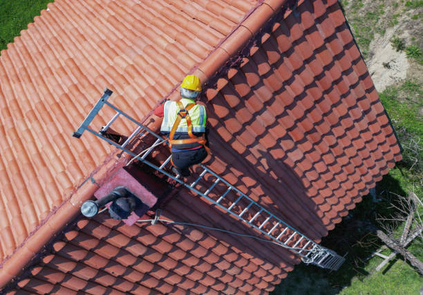 Siding in Bertsch Oceanview, CA