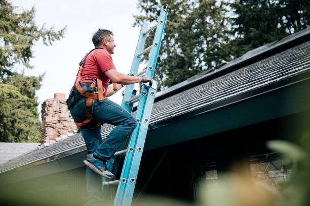 Best Roof Maintenance and Cleaning  in Bertsch Oceanview, CA
