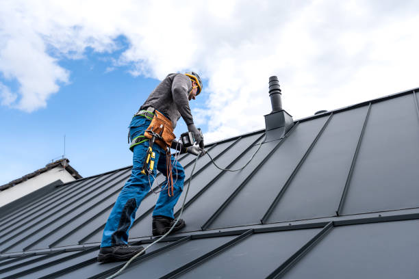 Best Steel Roofing  in Bertsch Oceanview, CA
