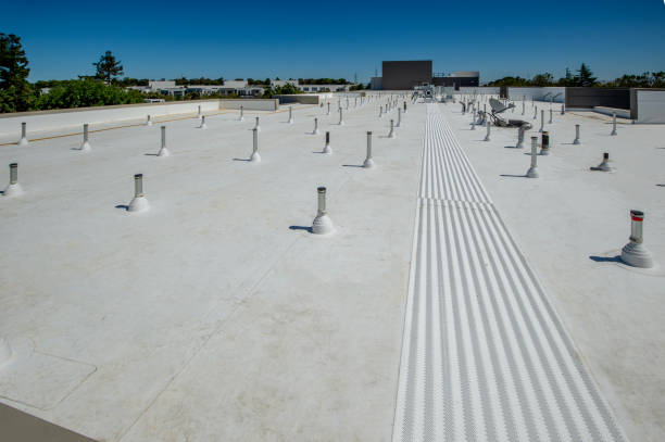 Best Sheet Metal Roofing  in Bertsch Oceanview, CA